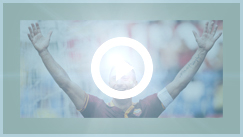 Icona Francesco Totti